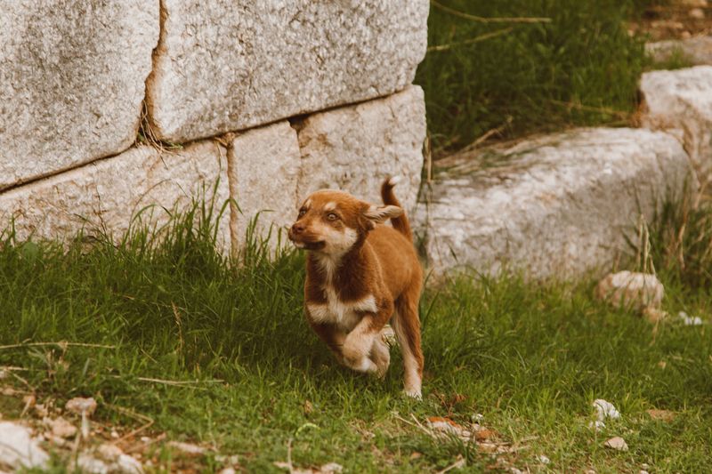 Move Fast After Waking, Eating, Drinking, and Play