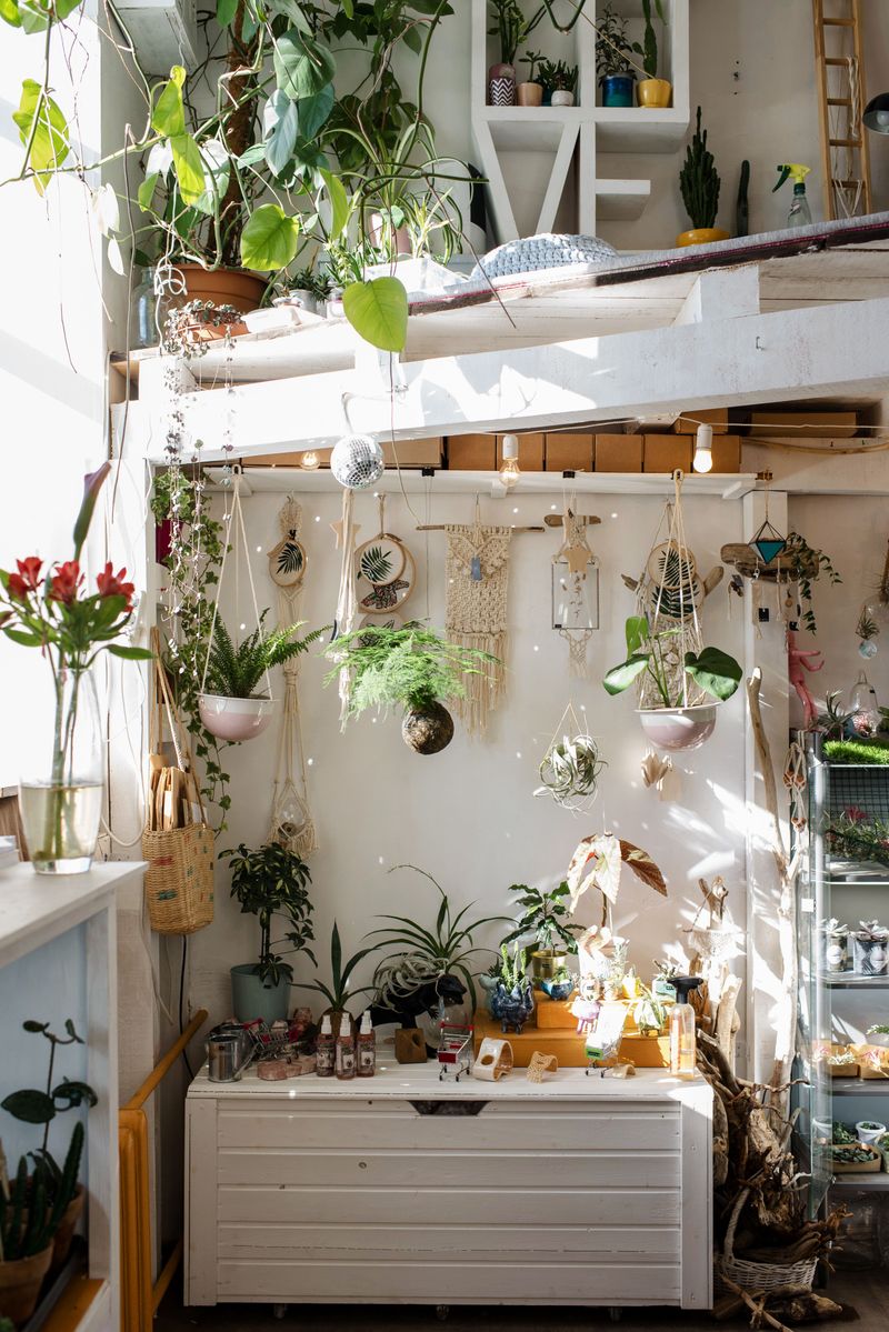 Puppy-Safe Houseplant Arrangement