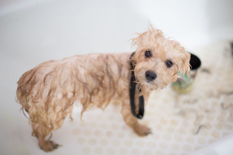 Humidity Can Bring Out Skin Flaking