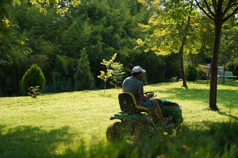 Mowing And Yard Work Affect Dog Areas