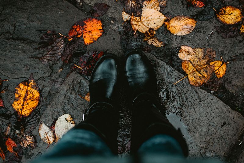 Fallen Leaves Covering Uneven Ground