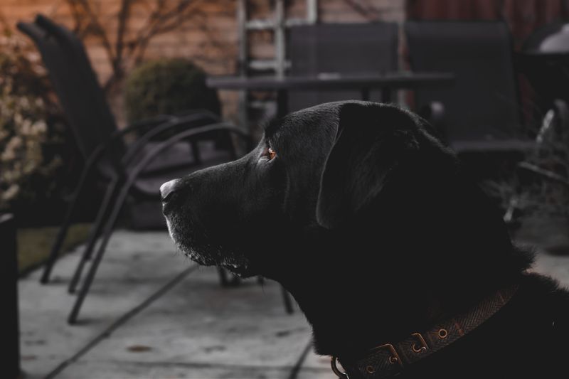 Damaged Outdoor Furniture And Equipment