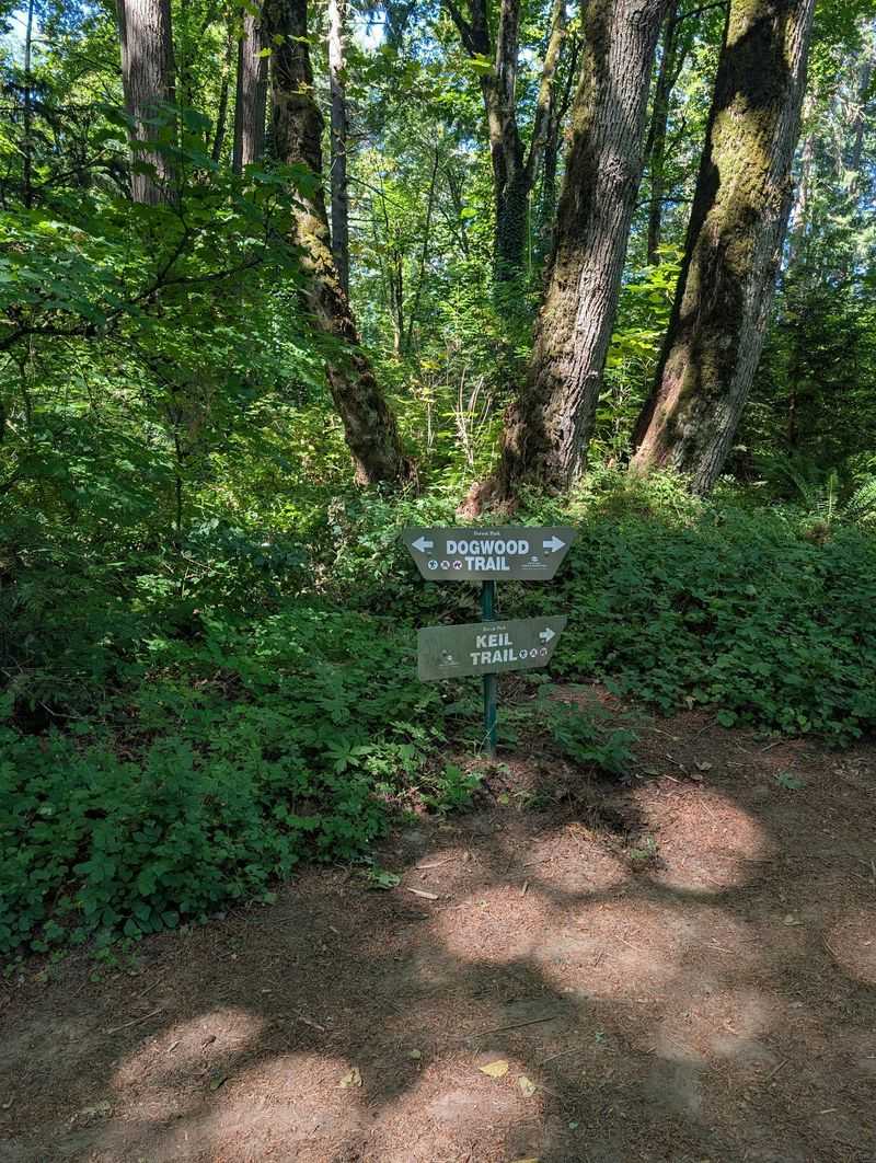 Alder Trail, Forest Park