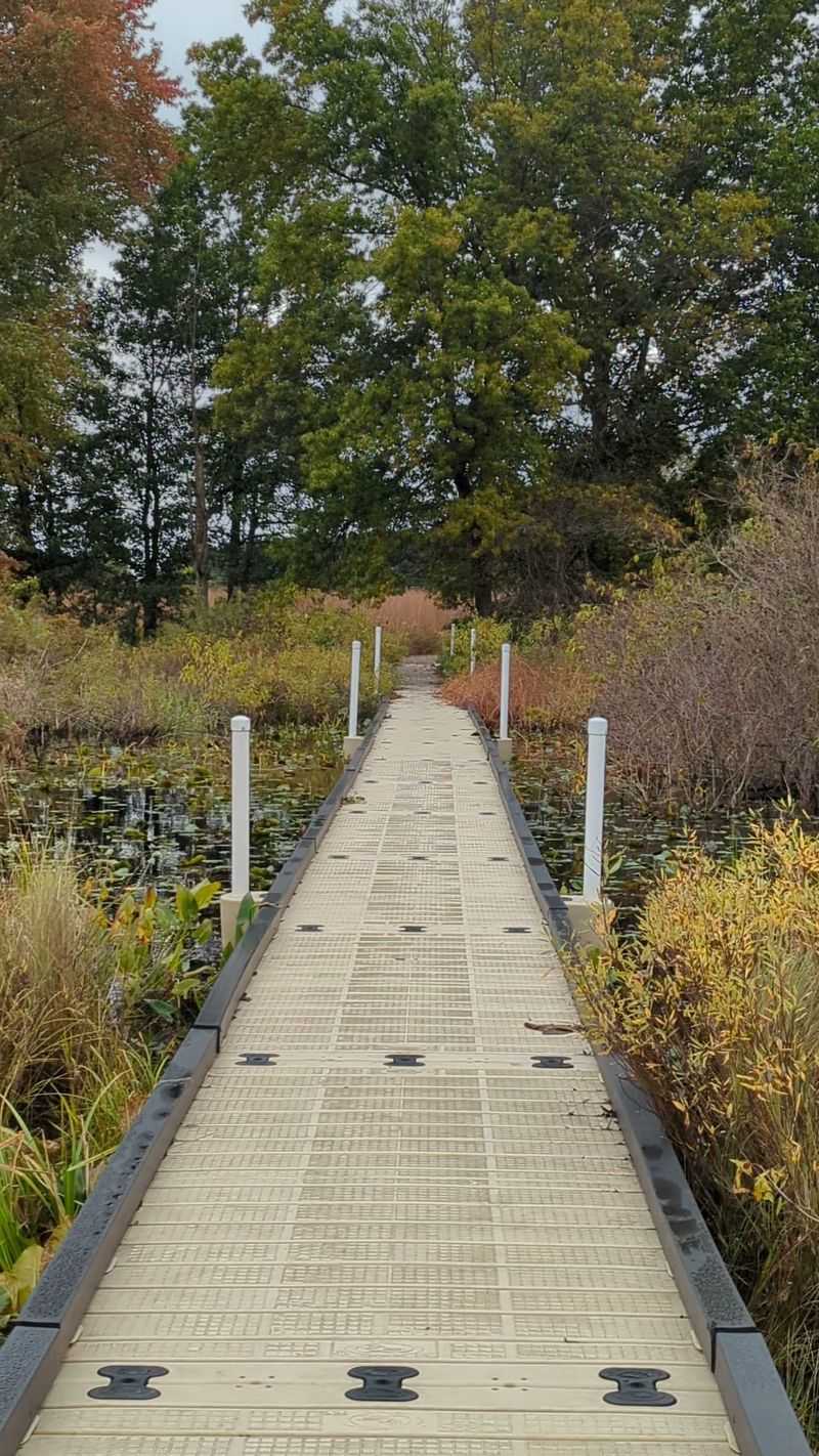 Elkhart Bog Nature Preserve: A Rare Bog View