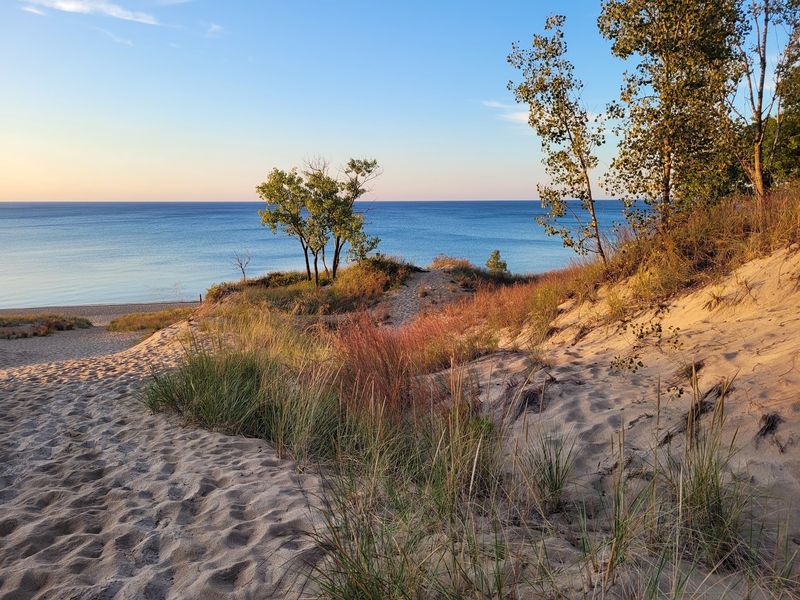 Indiana Dunes State Park: Dunes, Woods, and Water