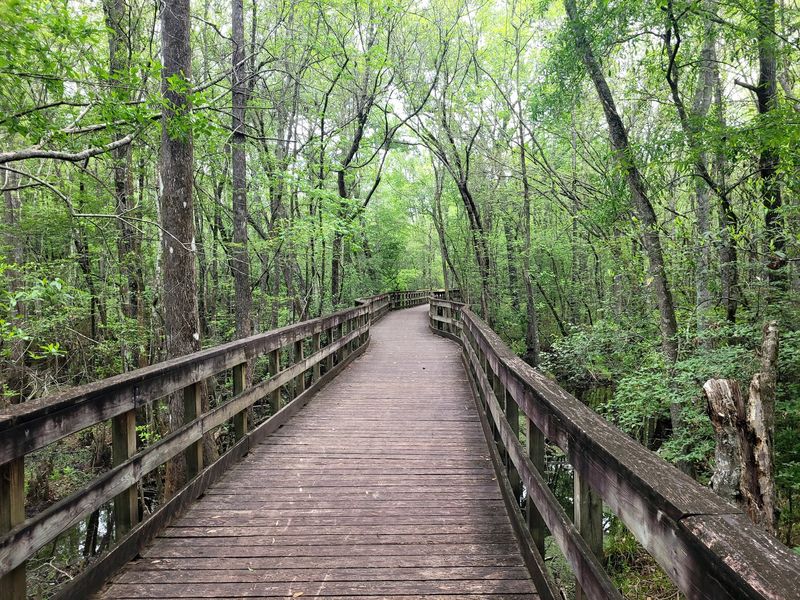 Reed Bingham State Park, Adel