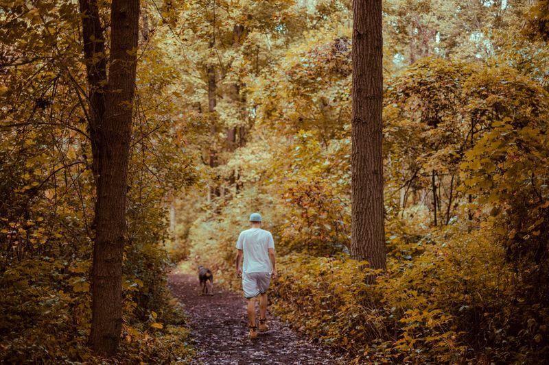 Short Walks Still Deserve Full Checks
