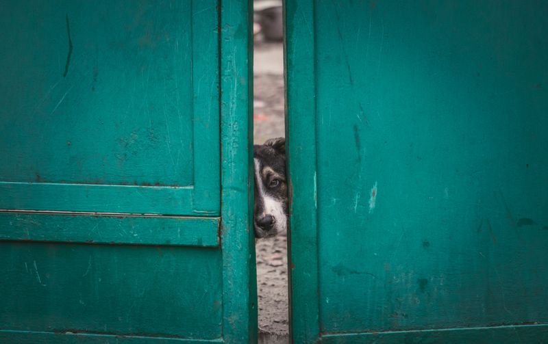 Walk the Fence Line Every Month