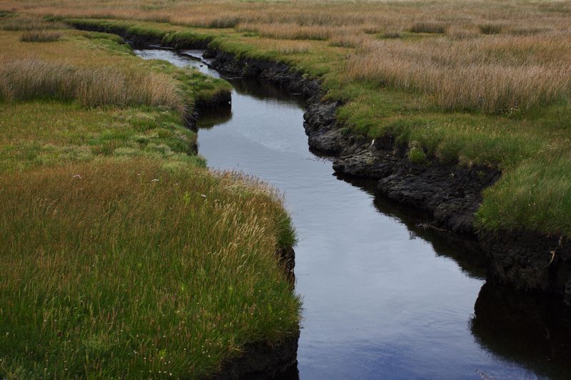 Salt Marsh Grass Can Hide Drop-Offs