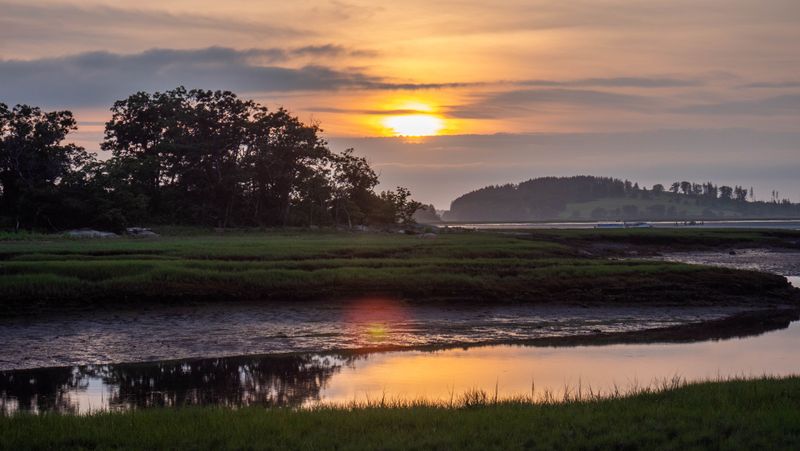 Mosquitoes Can Be Heavy Around Marshes