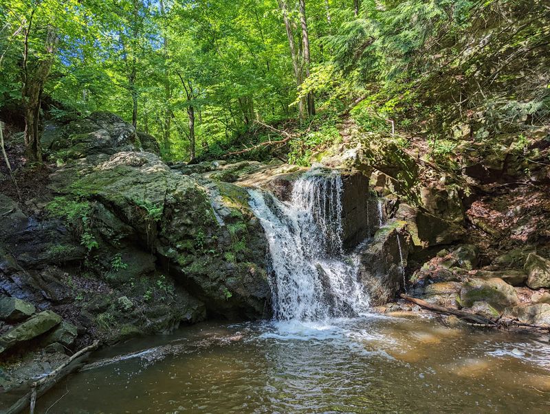 Sawmill Branch Trail