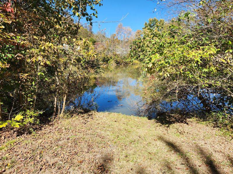 Salt Trail, Glade Spring to Saltville