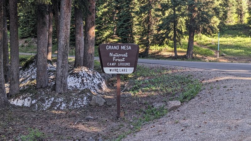 Ward Way Picnic Site, Grand Mesa