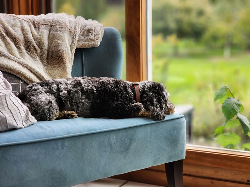 Couch Privileges That Only Exist At The Lake
