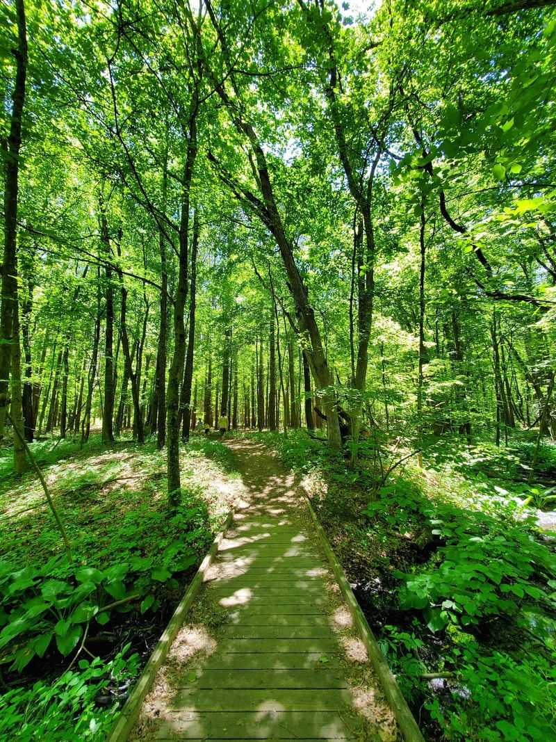 Oak Openings Preserve Metropark, Whitehouse