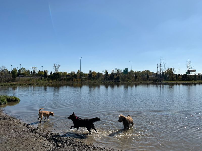 Beck Lake Forest Preserve, Des Plaines