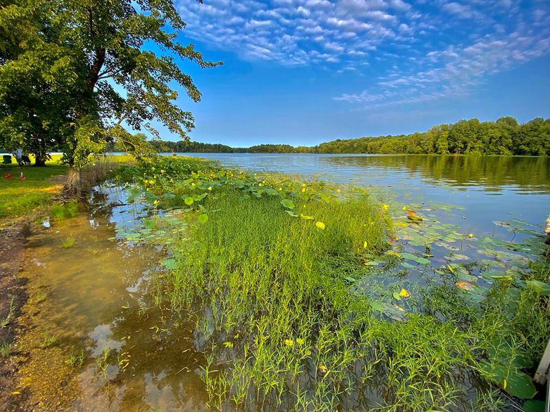 Hardy Lake, Scottsburg