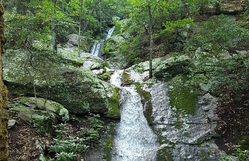 Mountain Side Trail, Douthat State Park