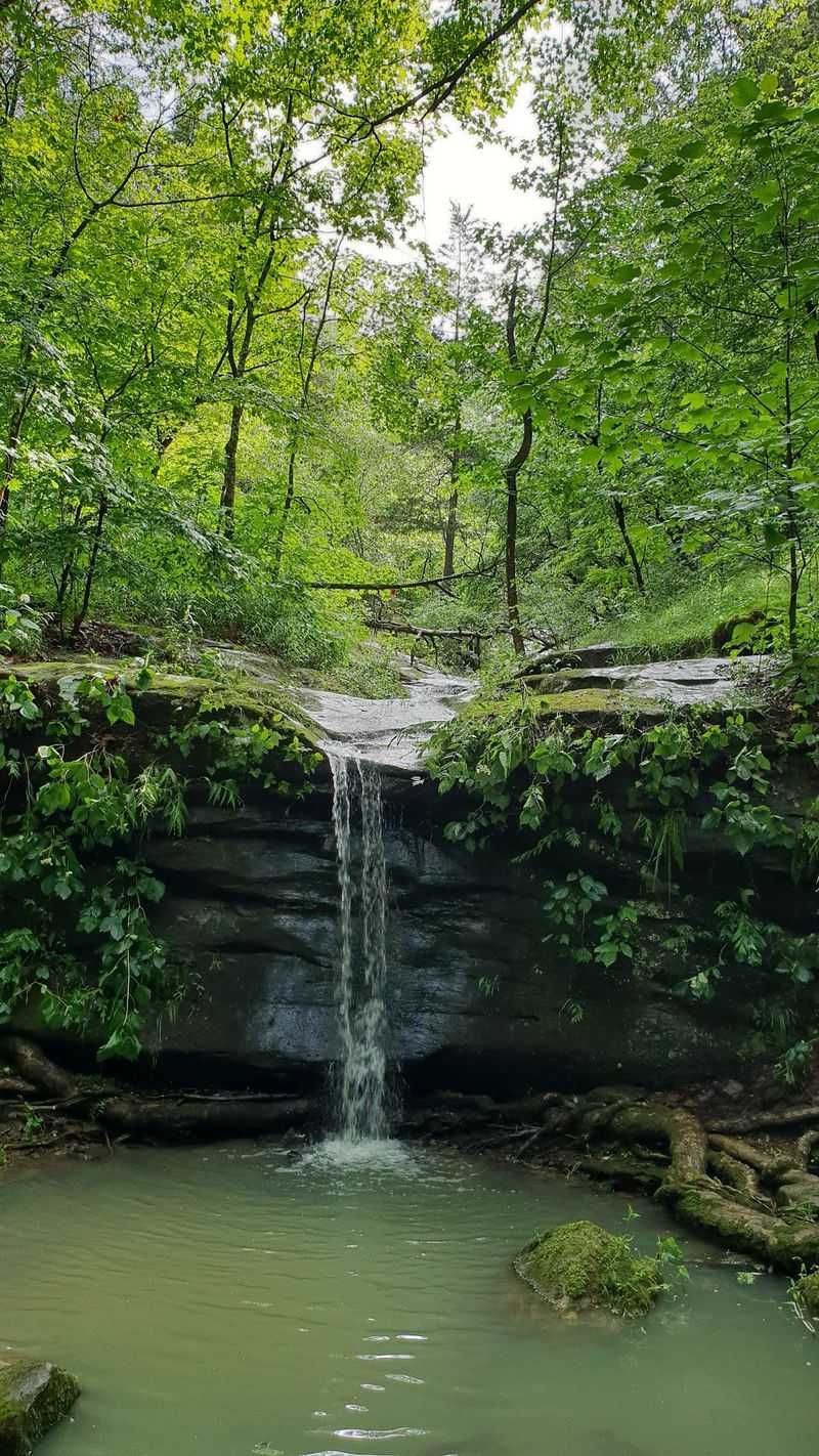 Ferne Clyffe State Park, Goreville