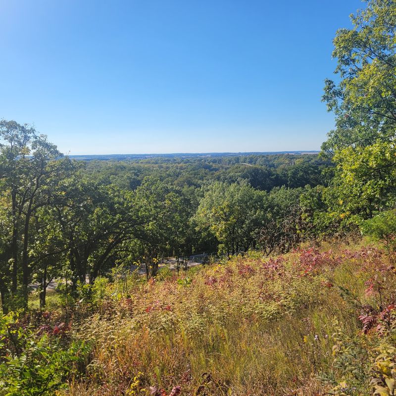 Kettle Moraine Oak Opening