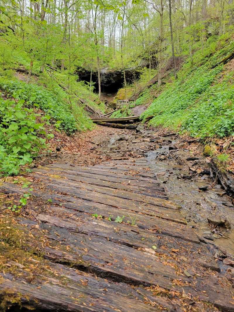 Salt Fork State Park Campground