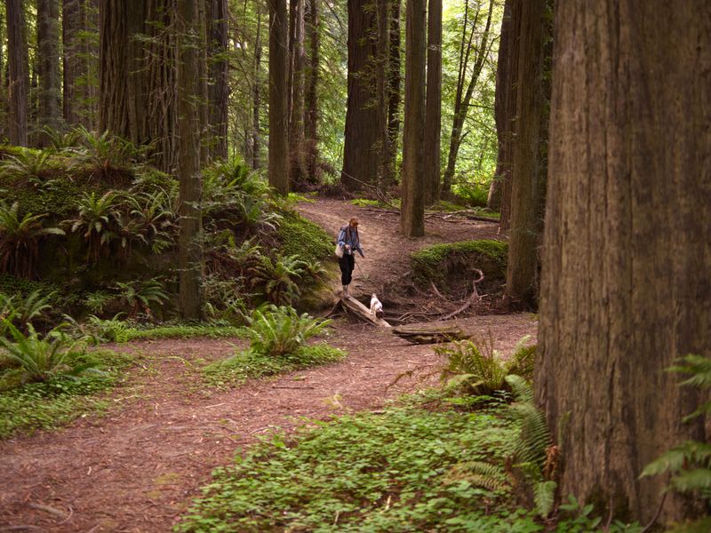 Ticks Can Hide Along Marsh Trails