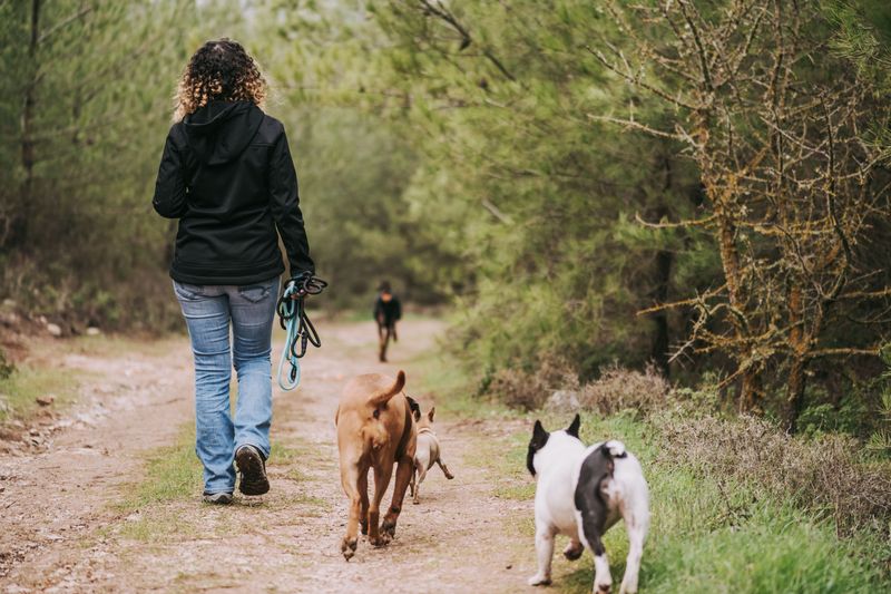 Hill Country Hikes Shift Toward Cooler Hours