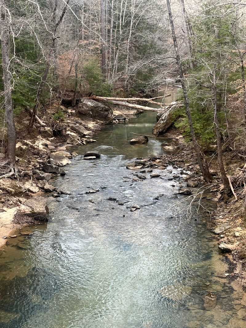 Borden Creek Trail, Sipsey Wilderness