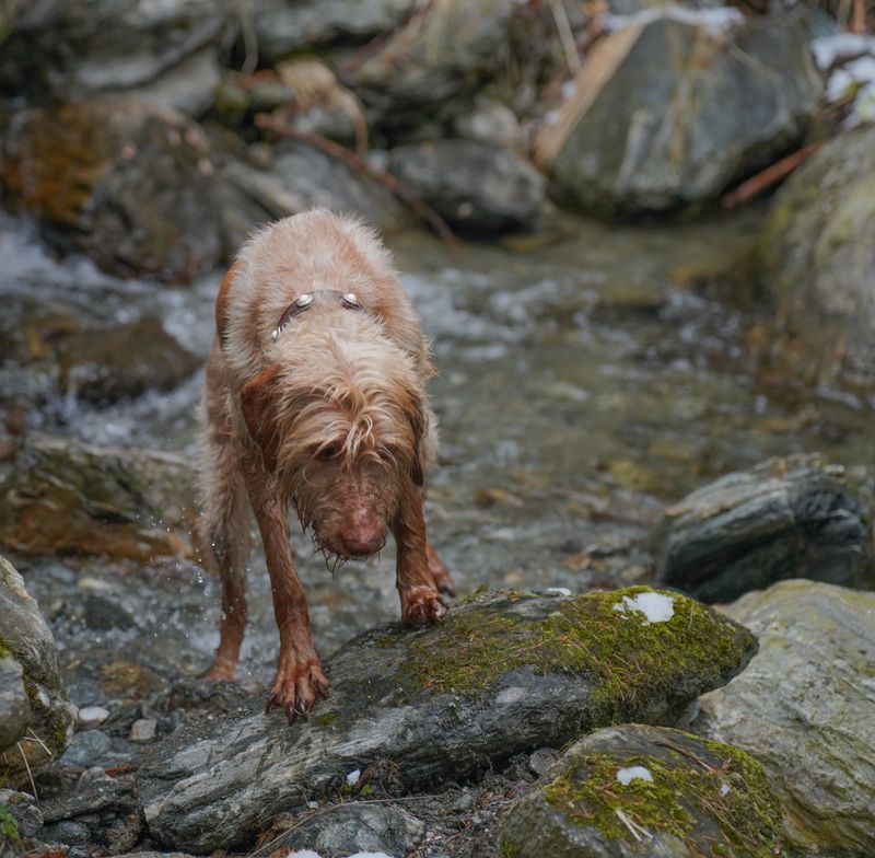 Rocky Streambeds Can Make Every Step Unsteady