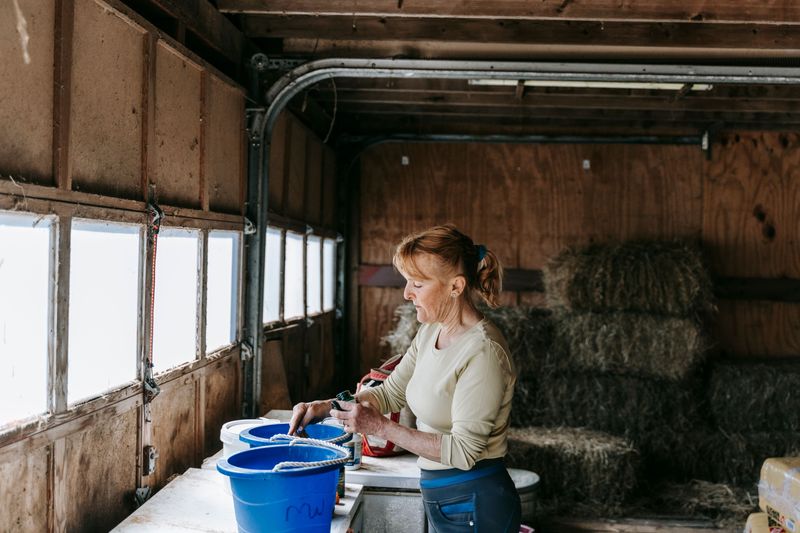 Clean And Organize Barns And Storage Sheds