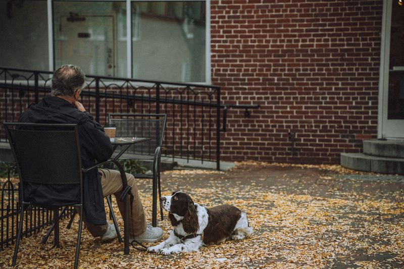 Can Pet Rules Change Mid-Lease?