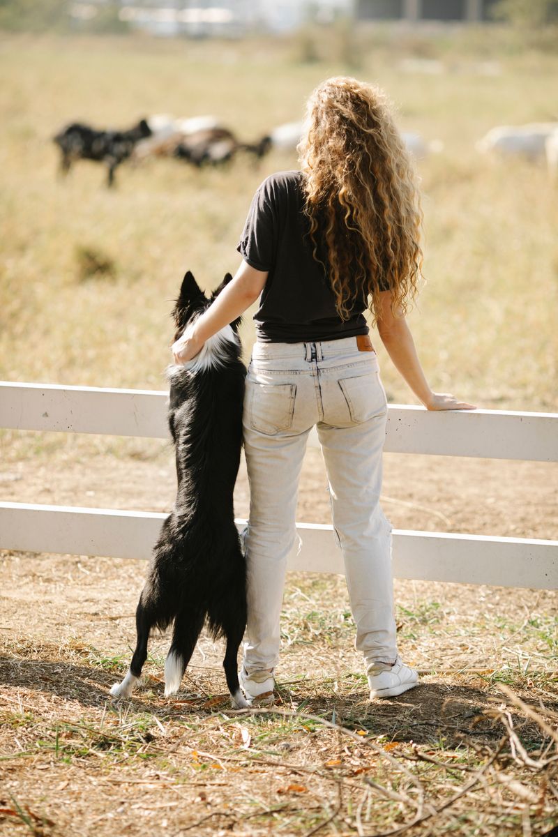 Swap Elevator Rides for Watchful Yard Time