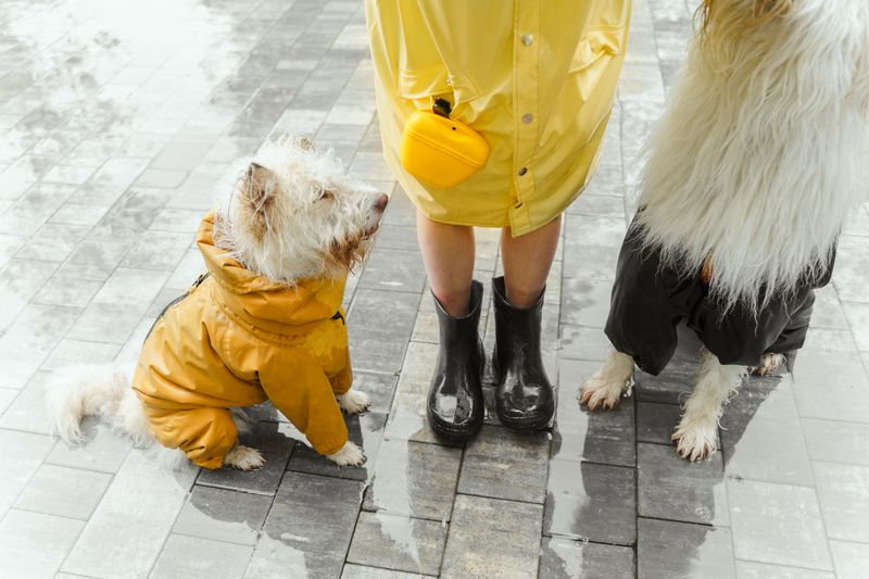 Weather Planning For Both Extremes