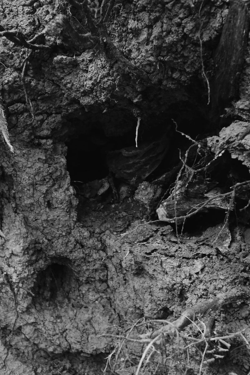 Fresh Sinkholes or Washed-Out Areas