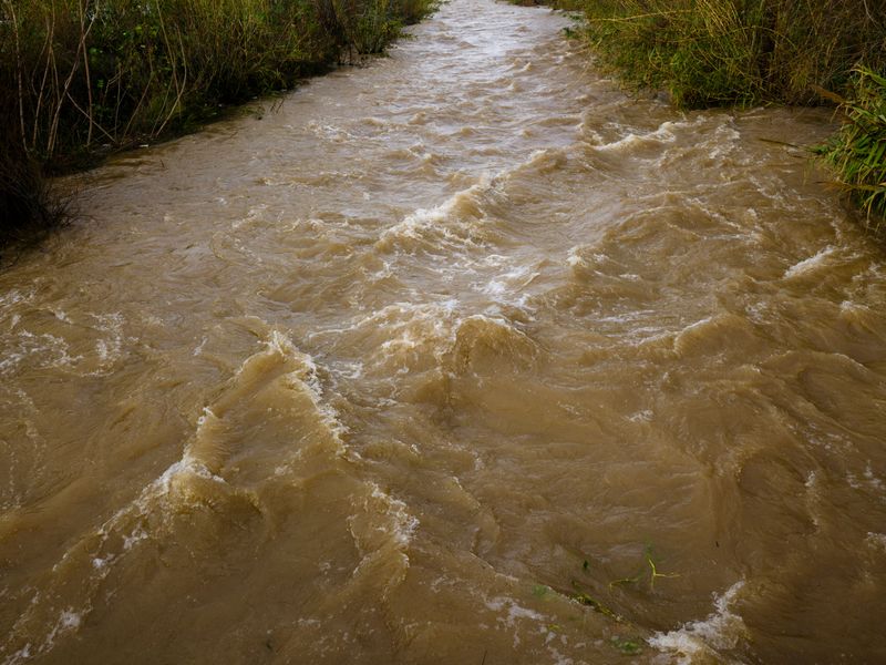 Marsh Creeks Can Become Fast Channels