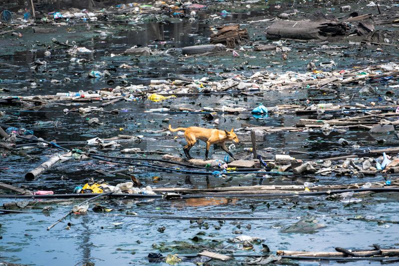 Flood-Soaked Trash And Household Debris