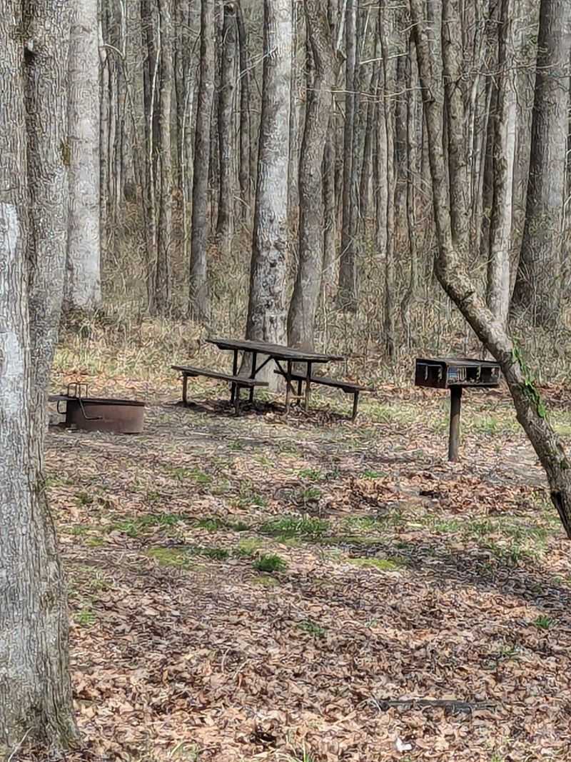 Natchez Trace Parkway Campgrounds