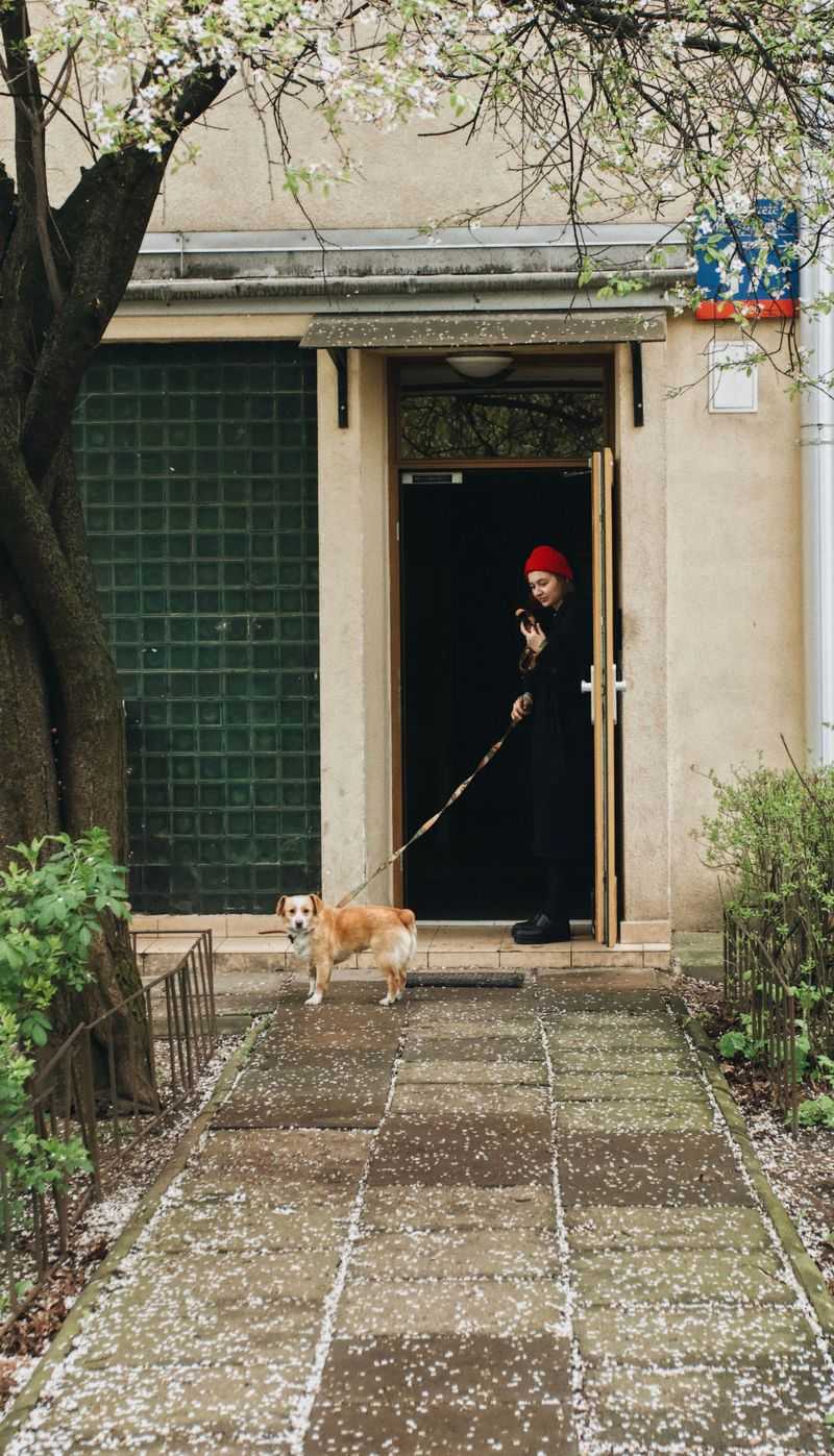 Shared Doorways Demand Steady Leash Manners