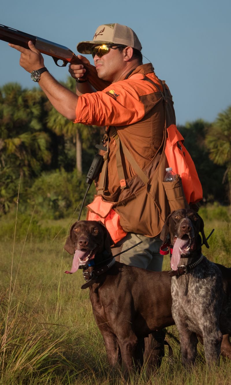 Treat Bird-Dog Training Areas With Respect