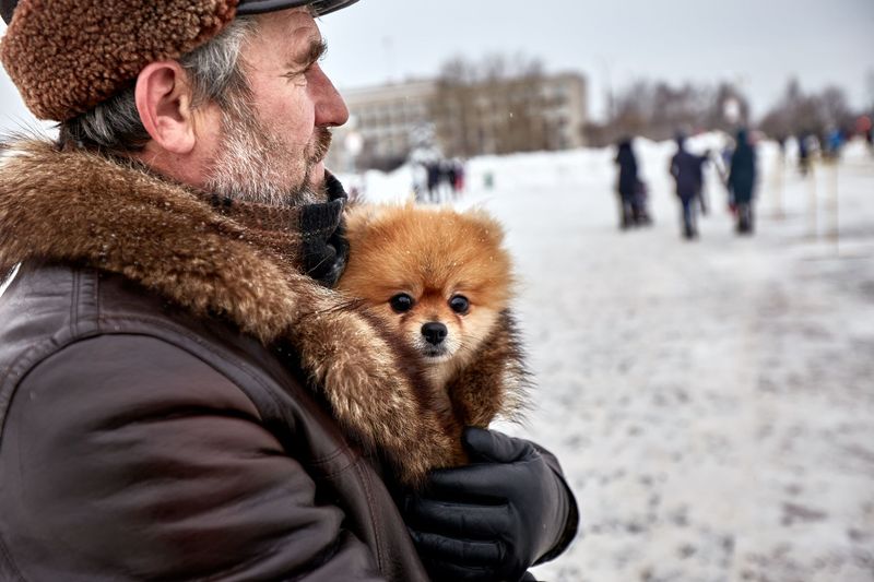 Pick Up Small Dogs When Safe