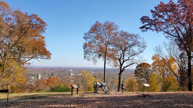 Fort Nonsense: Climb for the View
