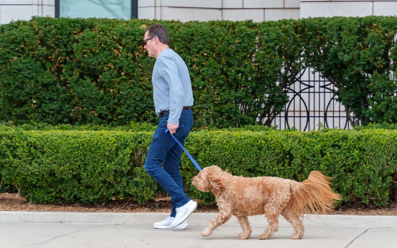 City Potty Breaks Follow a Predictable Map