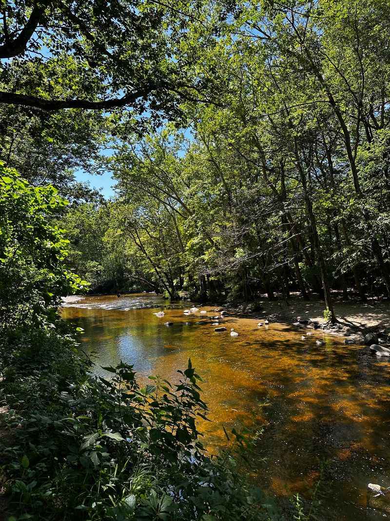 Mill River Path, Northampton