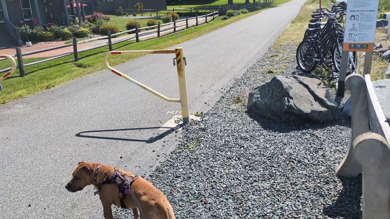 Ben Cardin C&D Canal Trail