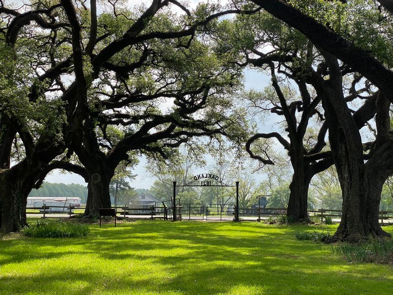 Magnolia Plantation, Cane River Creole National Historical Park