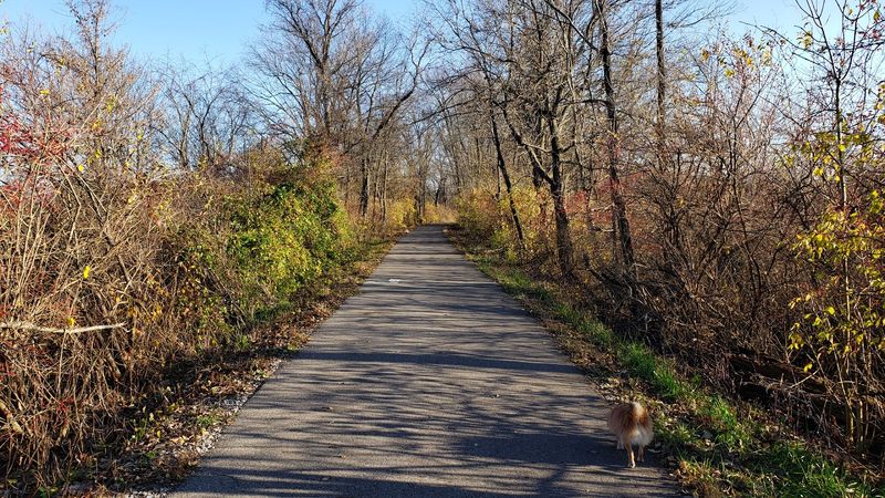 Granville and the T.J. Evans Trail