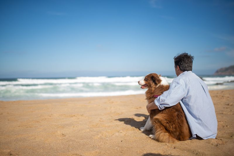 Check Rules In Nags Head Before Walking Your Dog