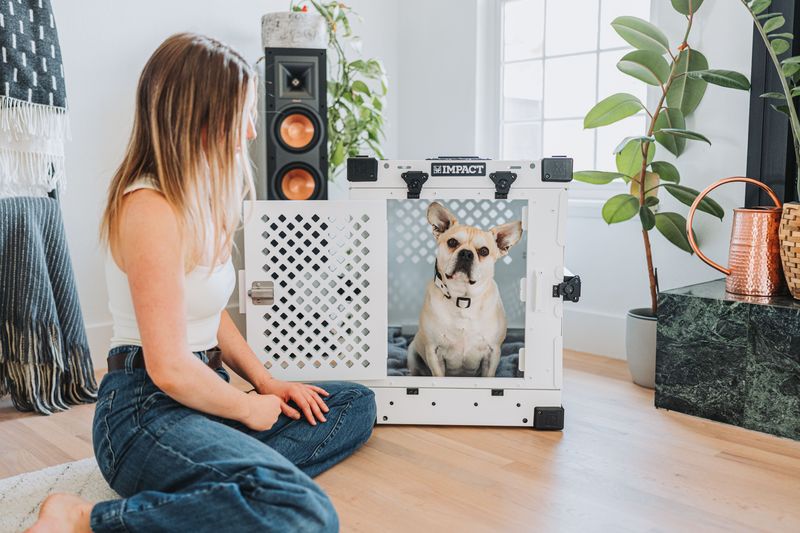 Properly Sized Crate and Exercise Pen