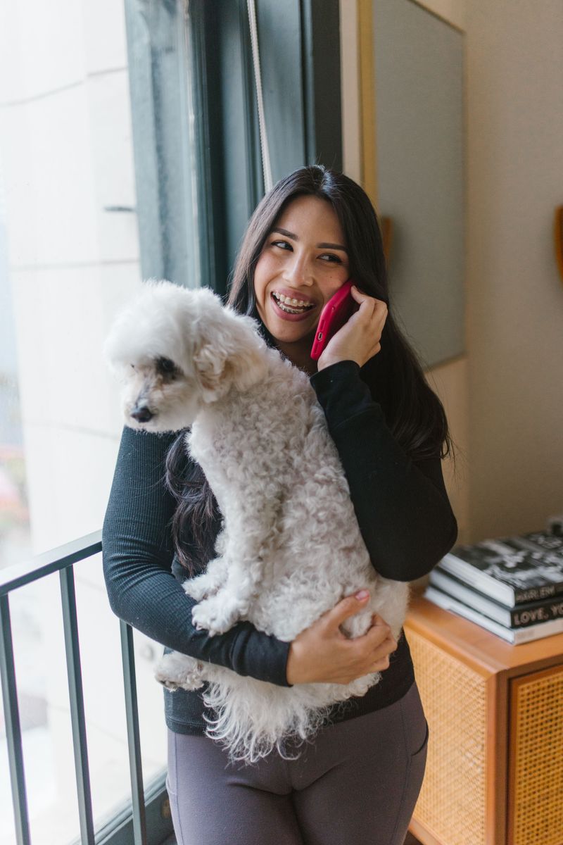Reserve Your Dog's Spot Before Traveling