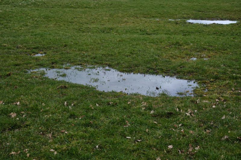 Pesticides And Fertilizers Washed Into Low Spots